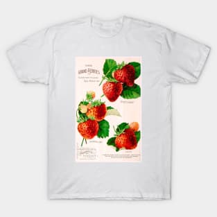 Seed Catalogue Cover T-Shirt